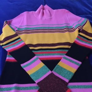 Diane von Furstenberg Metallic Stripe Turtleneck